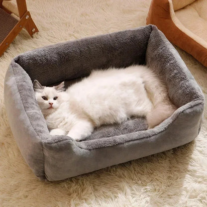 Cats Bed Dog Mat Beds Goods Pet Puppy Accessories All Products Kitten Cushions Things Accessory Houses