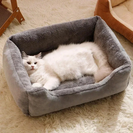 Cats Bed Dog Mat Beds Goods Pet Puppy Accessories All Products Kitten Cushions Things Accessory Houses