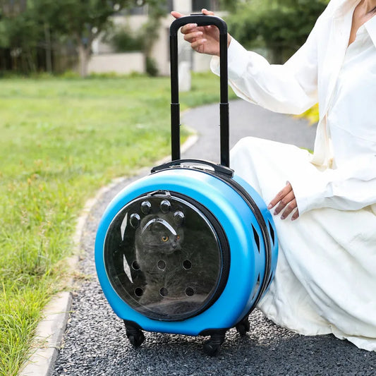 2025 Spot Pet Trolley Luggage Portable Pet Outing Bag Transparent Space Cabin Pet Cart Portable Cat Bag