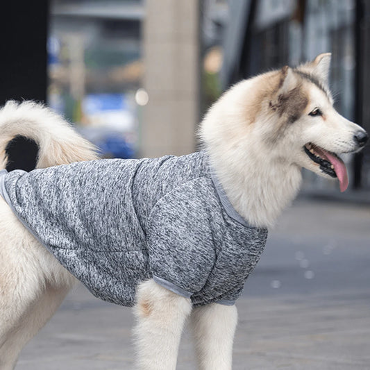 Dog Sweatshirts For Medium and Large Pet Golden Satsuma Huskies Border Collies Autumn and Winter Clothes