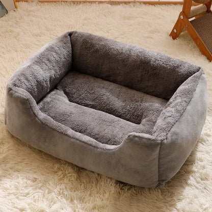 Cats Bed Dog Mat Beds Goods Pet Puppy Accessories All Products Kitten Cushions Things Accessory Houses